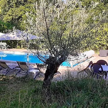 Le Chateau De Bed & Breakfast Prauthoy